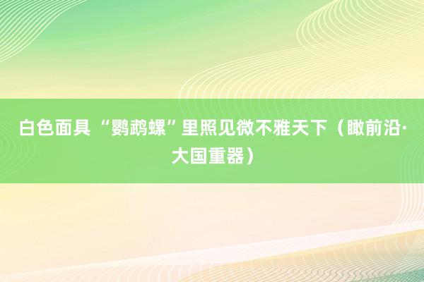 白色面具 “鹦鹉螺”里照见微不雅天下（瞰前沿·大国重器）