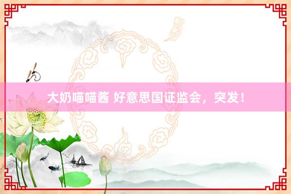 大奶喵喵酱 好意思国证监会，突发！
