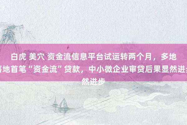 白虎 美穴 资金流信息平台试运转两个月，多地落地首笔“资金流”贷款，中小微企业审贷后果显然进步