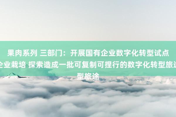 果肉系列 三部门：开展国有企业数字化转型试点企业栽培 探索造成一批可复制可捏行的数字化转型旅途