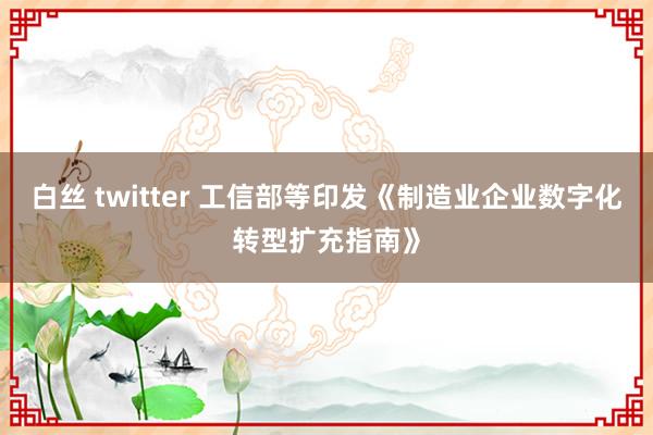 白丝 twitter 工信部等印发《制造业企业数字化转型扩充指南》