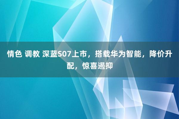 情色 调教 深蓝S07上市，搭载华为智能，降价升配，惊喜遏抑