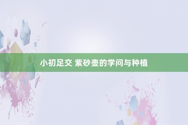 小初足交 紫砂壶的学问与种植