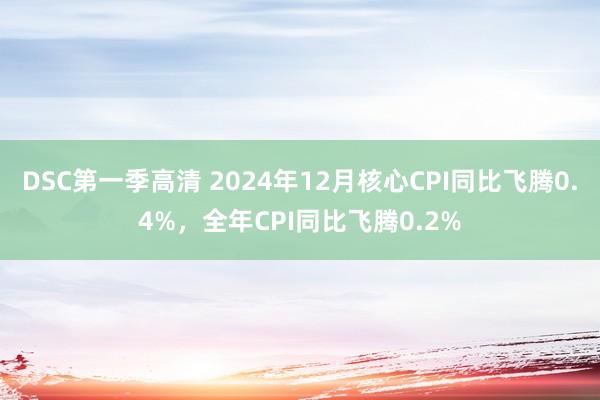 DSC第一季高清 2024年12月核心CPI同比飞腾0.4%，全年CPI同比飞腾0.2%