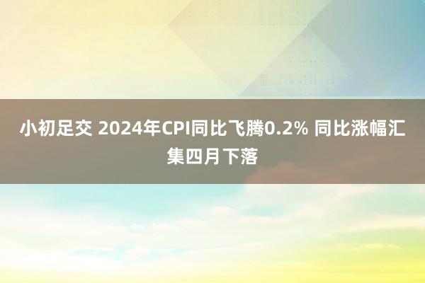 小初足交 2024年CPI同比飞腾0.2% 同比涨幅汇集四月下落