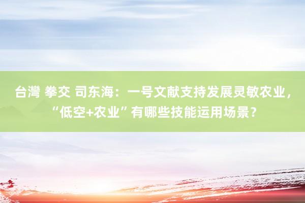 台灣 拳交 司东海：一号文献支持发展灵敏农业，“低空+农业”有哪些技能运用场景？