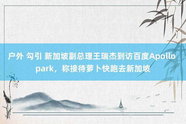 户外 勾引 新加坡副总理王瑞杰到访百度Apollo park，称接待萝卜快跑去新加坡