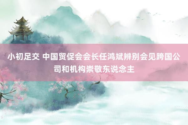 小初足交 中国贸促会会长任鸿斌辨别会见跨国公司和机构崇敬东说念主