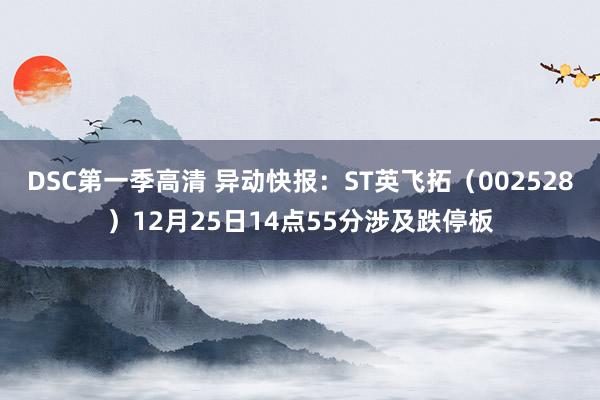 DSC第一季高清 异动快报：ST英飞拓（002528）12月25日14点55分涉及跌停板
