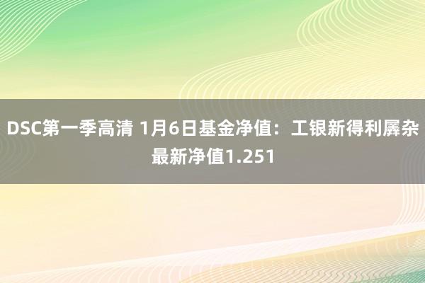 DSC第一季高清 1月6日基金净值：工银新得利羼杂最新净值1.251