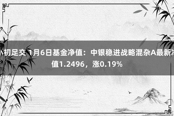 小初足交 1月6日基金净值：中银稳进战略混杂A最新净值1.2496，涨0.19%