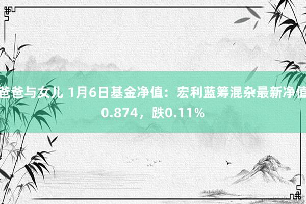 爸爸与女儿 1月6日基金净值：宏利蓝筹混杂最新净值0.874，跌0.11%