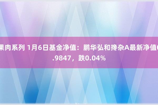 果肉系列 1月6日基金净值：鹏华弘和搀杂A最新净值0.9847，跌0.04%
