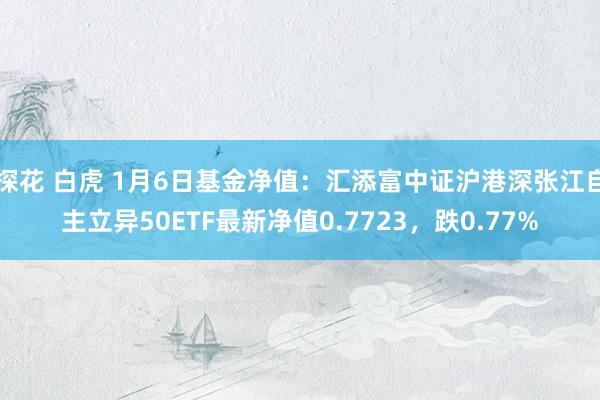 探花 白虎 1月6日基金净值：汇添富中证沪港深张江自主立异50ETF最新净值0.7723，跌0.77%