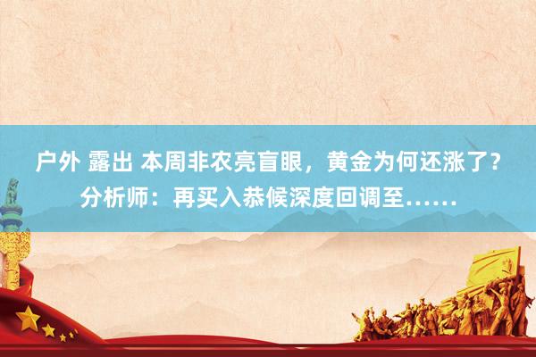 户外 露出 本周非农亮盲眼，黄金为何还涨了？分析师：再买入恭候深度回调至……