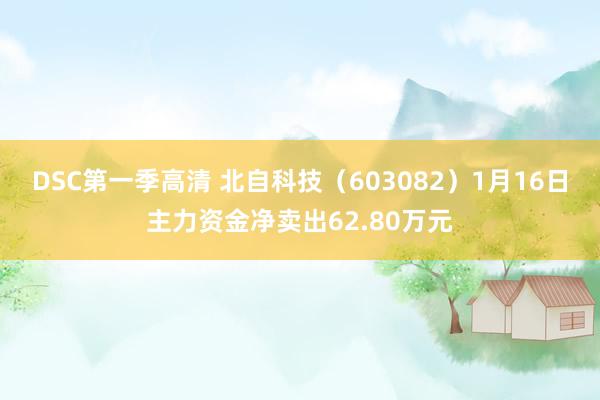 DSC第一季高清 北自科技（603082）1月16日主力资金净卖出62.80万元