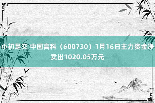 小初足交 中国高科（600730）1月16日主力资金净卖出1020.05万元