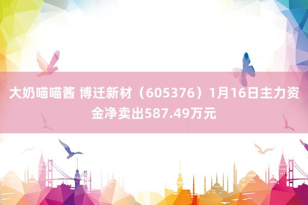 大奶喵喵酱 博迁新材（605376）1月16日主力资金净卖出587.49万元