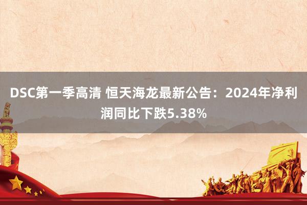 DSC第一季高清 恒天海龙最新公告：2024年净利润同比下跌5.38%