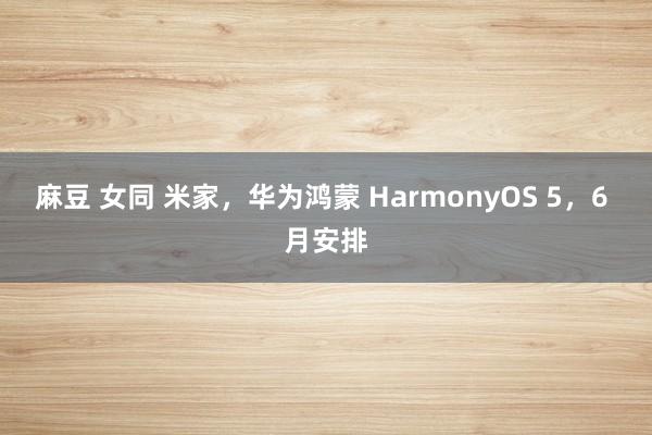 麻豆 女同 米家，华为鸿蒙 HarmonyOS 5，6 月安排