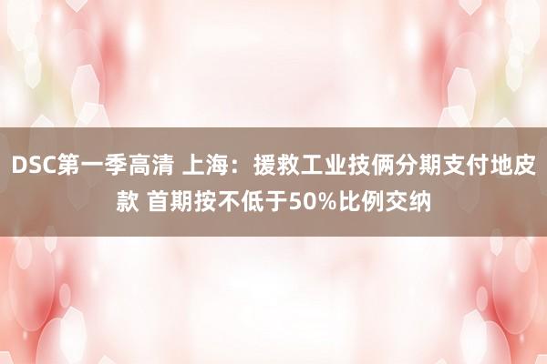 DSC第一季高清 上海：援救工业技俩分期支付地皮款 首期按不低于50%比例交纳