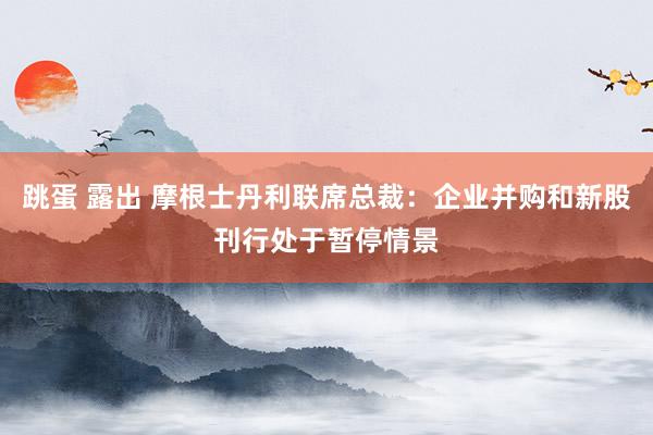 跳蛋 露出 摩根士丹利联席总裁：企业并购和新股刊行处于暂停情景