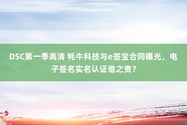 DSC第一季高清 牦牛科技与e签宝合同曝光，电子签名实名认证谁之责？