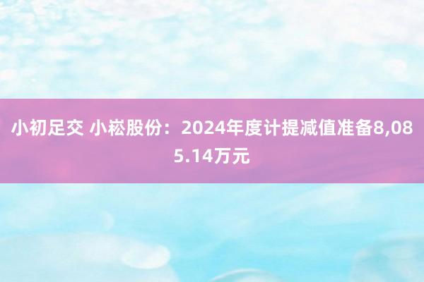 小初足交 小崧股份：2024年度计提减值准备8，085.14万元