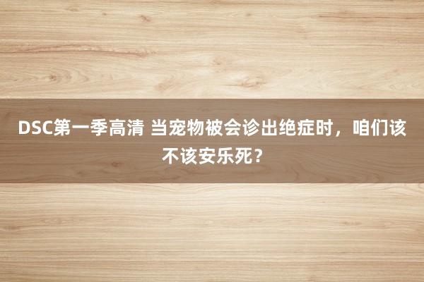 DSC第一季高清 当宠物被会诊出绝症时，咱们该不该安乐死？