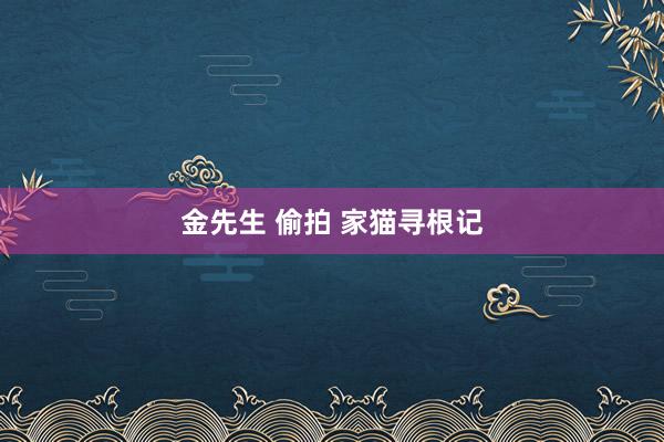 金先生 偷拍 家猫寻根记