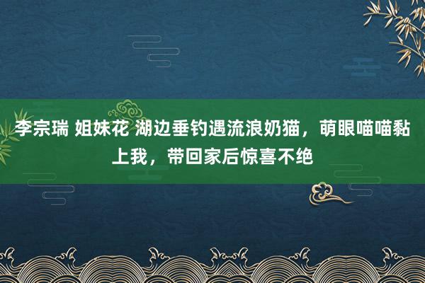 李宗瑞 姐妹花 湖边垂钓遇流浪奶猫，萌眼喵喵黏上我，带回家后惊喜不绝