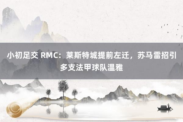 小初足交 RMC：莱斯特城提前左迁，苏马雷招引多支法甲球队温雅