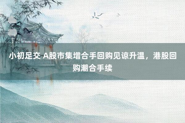 小初足交 A股市集增合手回购见谅升温，港股回购潮合手续