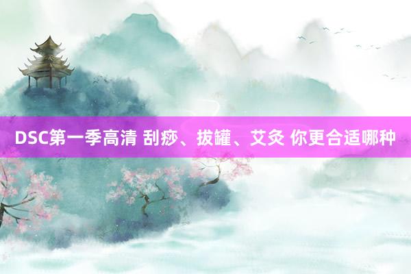 DSC第一季高清 刮痧、拔罐、艾灸 你更合适哪种
