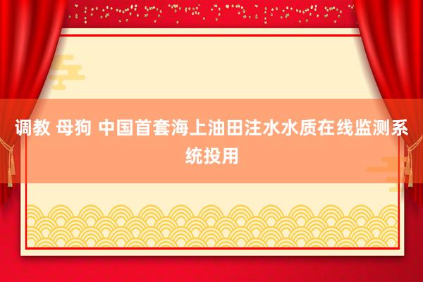 调教 母狗 中国首套海上油田注水水质在线监测系统投用