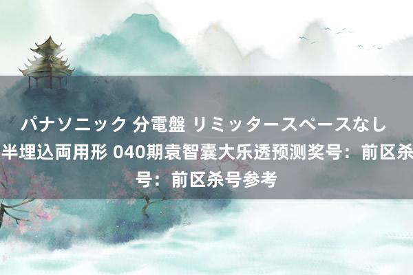 パナソニック 分電盤 リミッタースペースなし 露出・半埋込両用形 040期袁智囊大乐透预测奖号：前区杀号参考